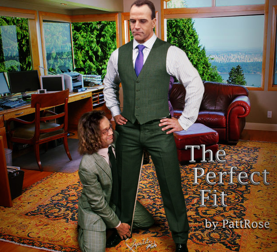 The Perfect Fit by PattRose - cover
        art by LaPetiteKiki