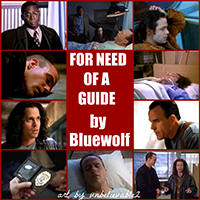 For Need of a Guide - Bluewolf and unbelievable2